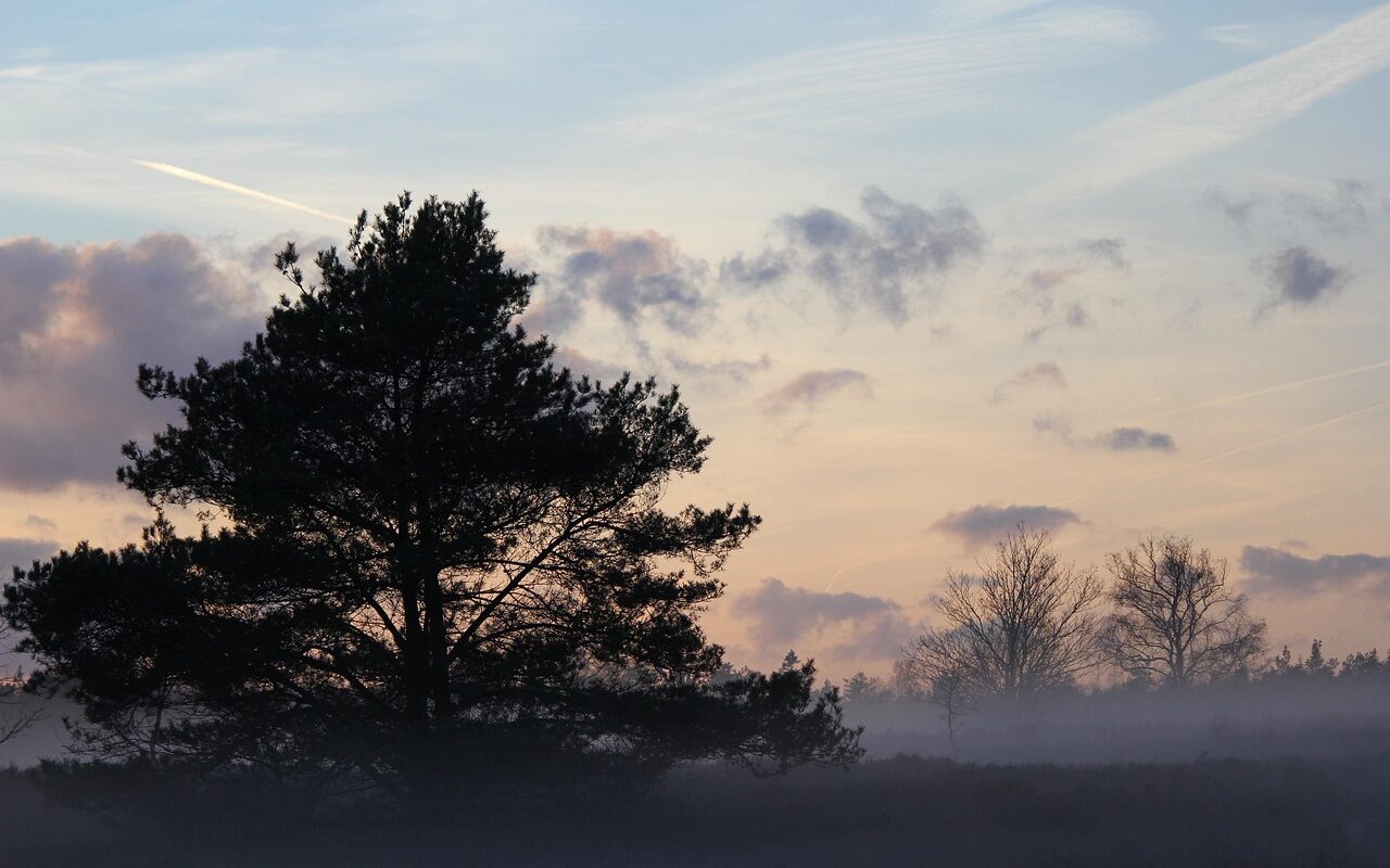 E-chopper huren Veluwe