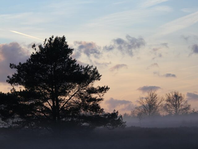 E-chopper huren Veluwe
